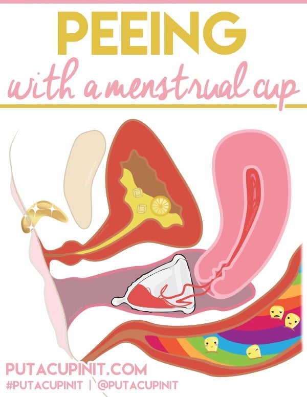 Peeing with a menstrual cup: There are things to know!