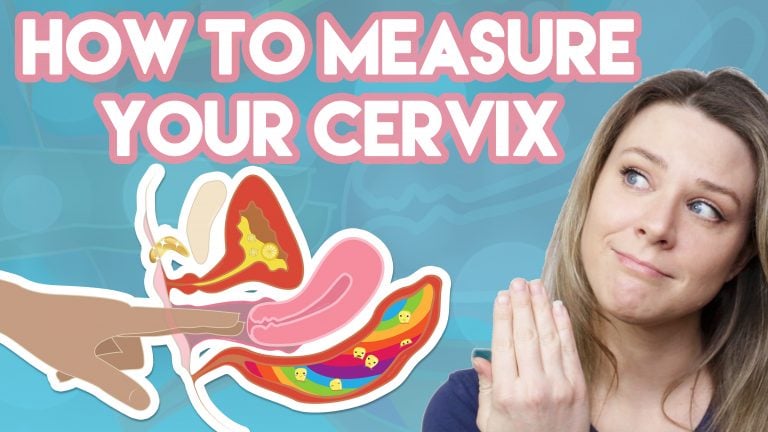 Cervix Intro