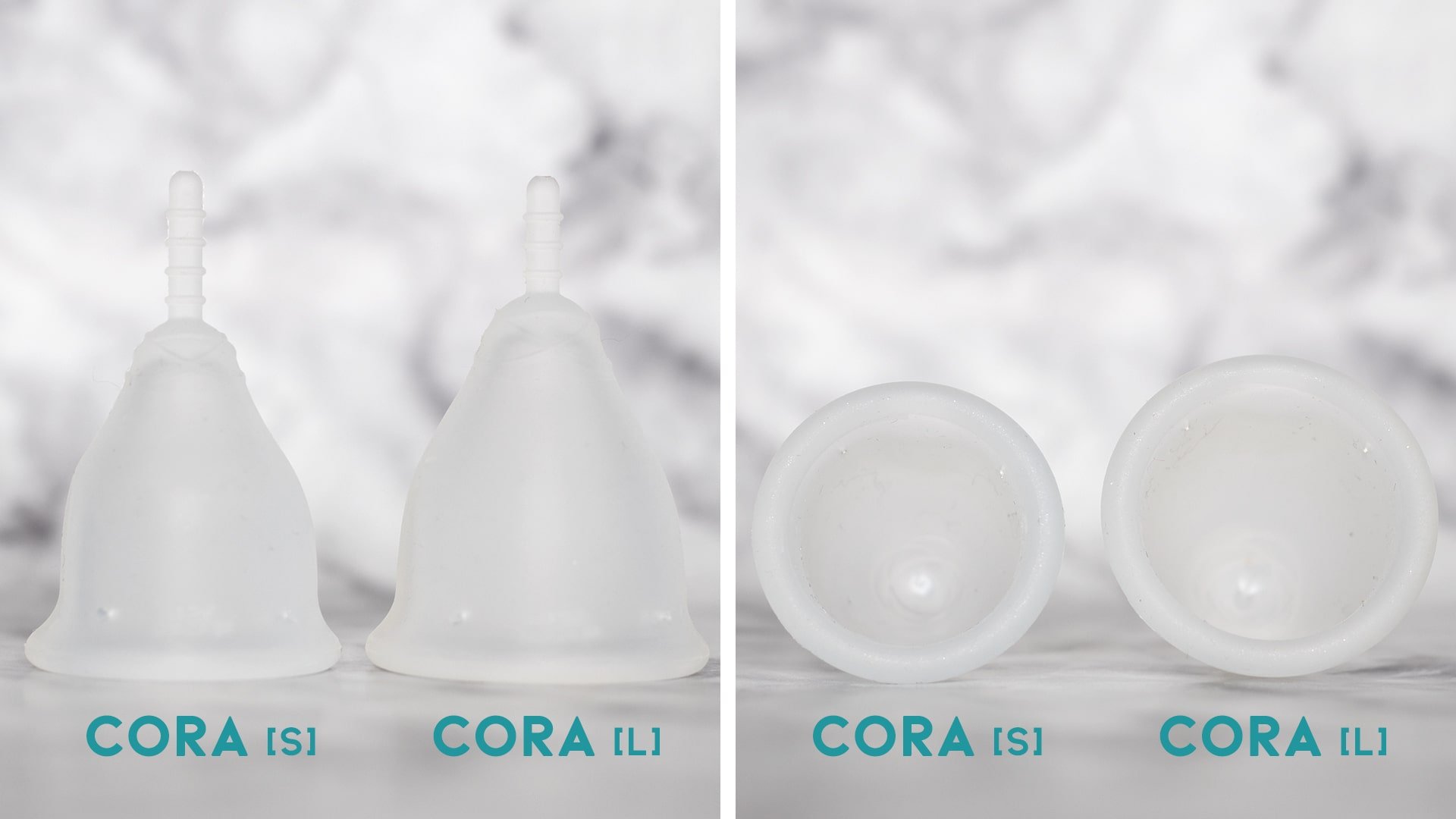 Cora Size Comparison