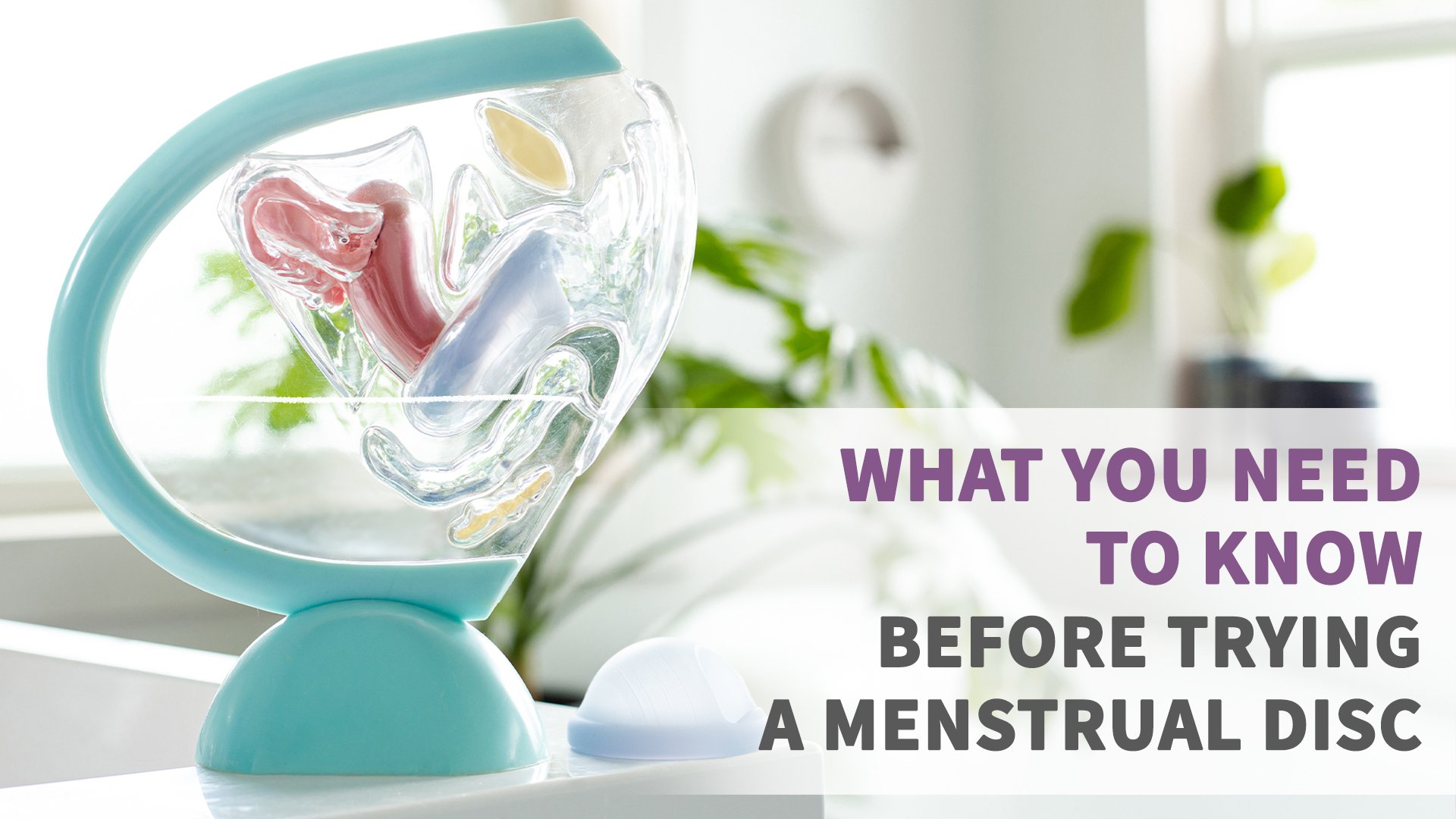 What To Know Before Trying A Menstrual Disc - Put A Cup In It