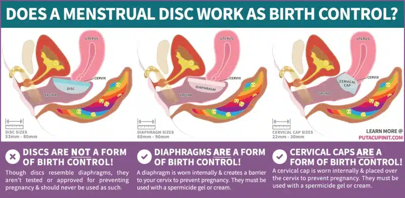 Does A Menstrual Disc Work As Birth Control Diaphragm? Image shows three internal side views of the pelvic anatomy : each illustrating the placement of a menstrual disc, diaphragm, or cervical cap in the vaginal canal. Additional text reads: - Discs are not a form of birth control! Though discs resemble diaphragms, they aren’t tested or approved for preventing pregnancy & should never be used as such. - Diaphragms are a form of birth control! A diaphragm is worn internally & creates a barrier to your cervix to prevent pregnancy. They must be used with a spermicide gel or cream. - Cervical caps are a form of birth control! A cervical cap is worn internally & placed over the cervix to prevent pregnancy. They must be used with a spermicide gel or cream.