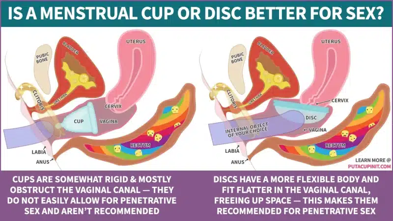 Sex While Using A Menstrual Disc : Is A Menstrual Cup Or Disc Better For Sex? Image shows two internal side views of the pelvic anatomy : each illustrating the placement of a menstrual cup or menstrual disc in the vaginal canal. Additional text reads: - Cups are somewhat rigid & mostly obstruct the vaginal canal — they do not easily allow for penetrative sex and aren’t recommended - Discs have a more flexible body and fit flatter in the vaginal canal, freeing up space — this makes them recommended for penetrative sex