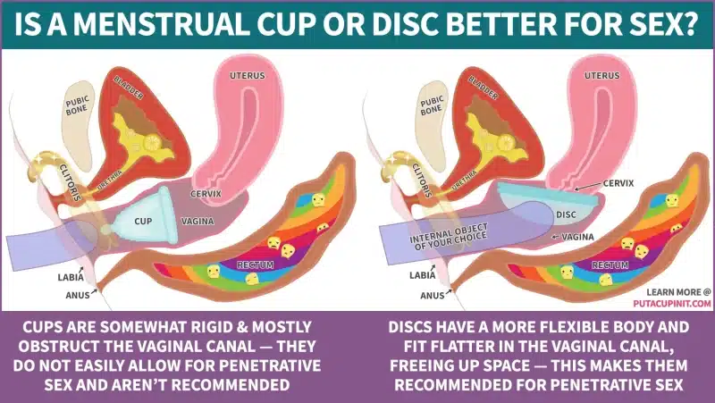 Reusable Menstrual Discs to Use During Your Period