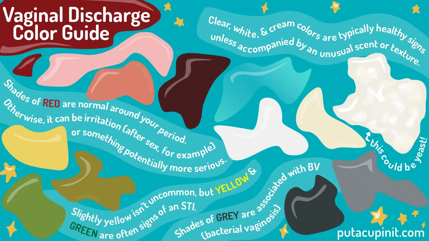 Vaginal Discharge Types Vaginal Discharge Types Causes The Fornix